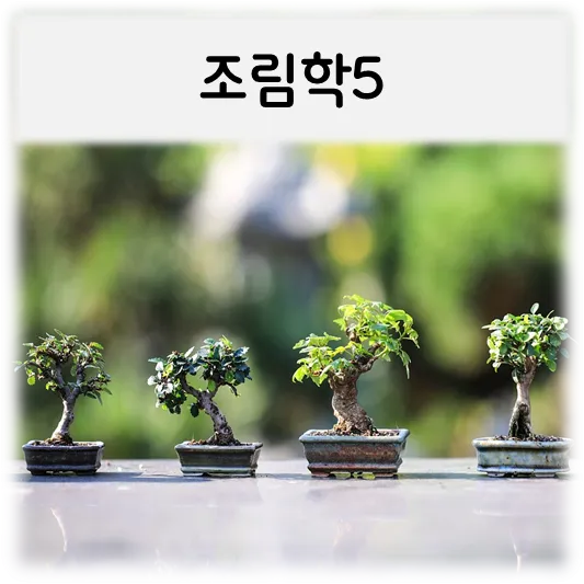 조림학5-분재4개