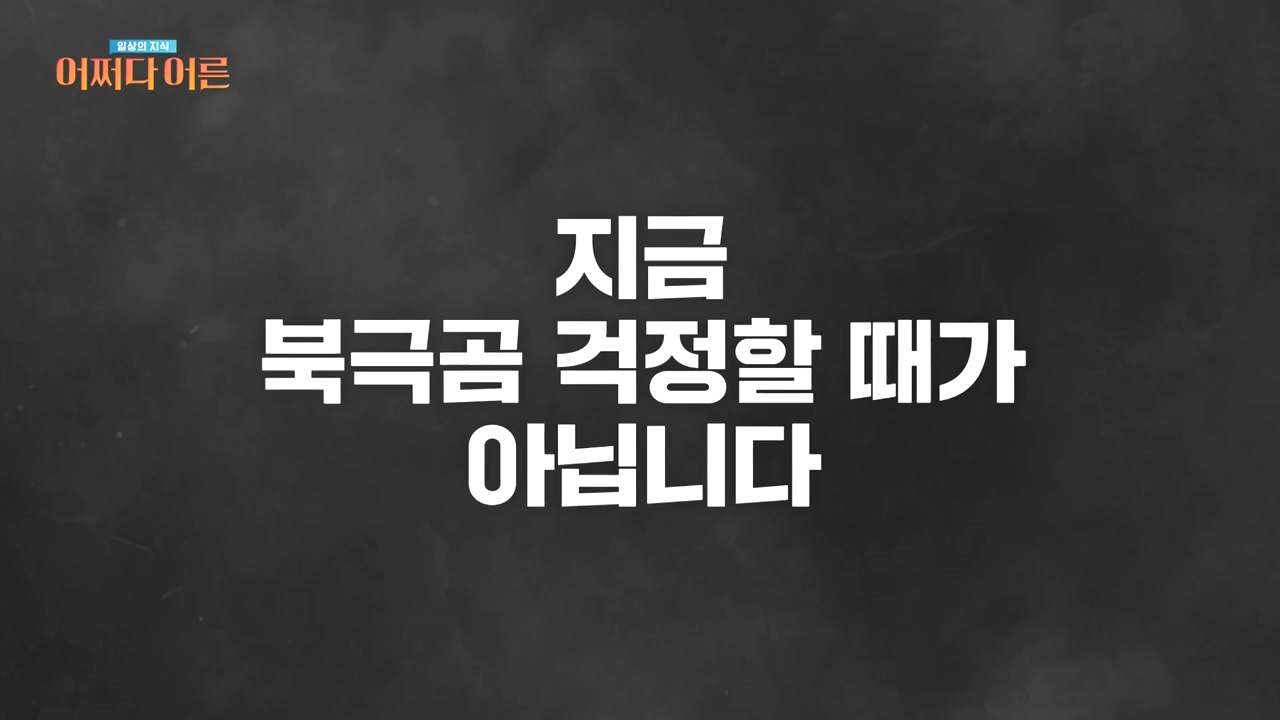 어쩌다 어른.E55.240508p-NEXT.mp4_20240508_202548.382.jpg