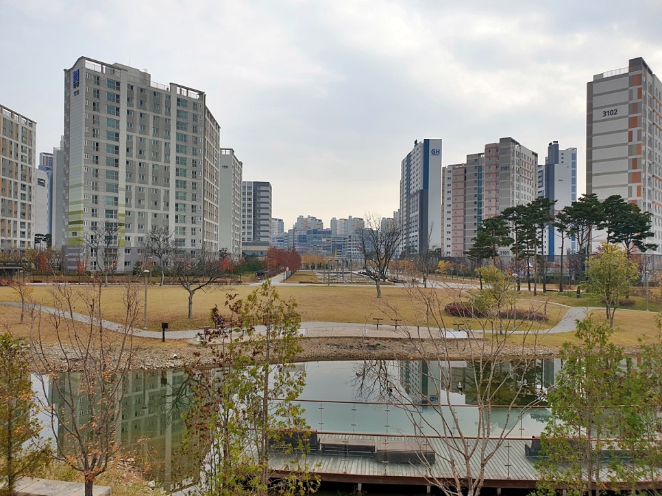 어우러진 다산수변공원 왕숙천 단풍과 갈대군락 12