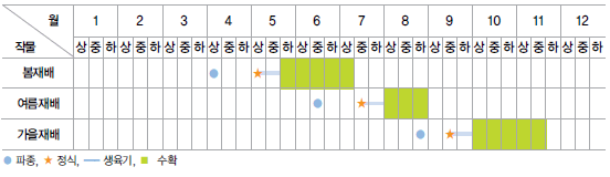 텃밭에서 상추 심는 시기&#44; 파종 및 재배 방법&#44; 키우기&#44; 수확시기 및 효능 알아보기