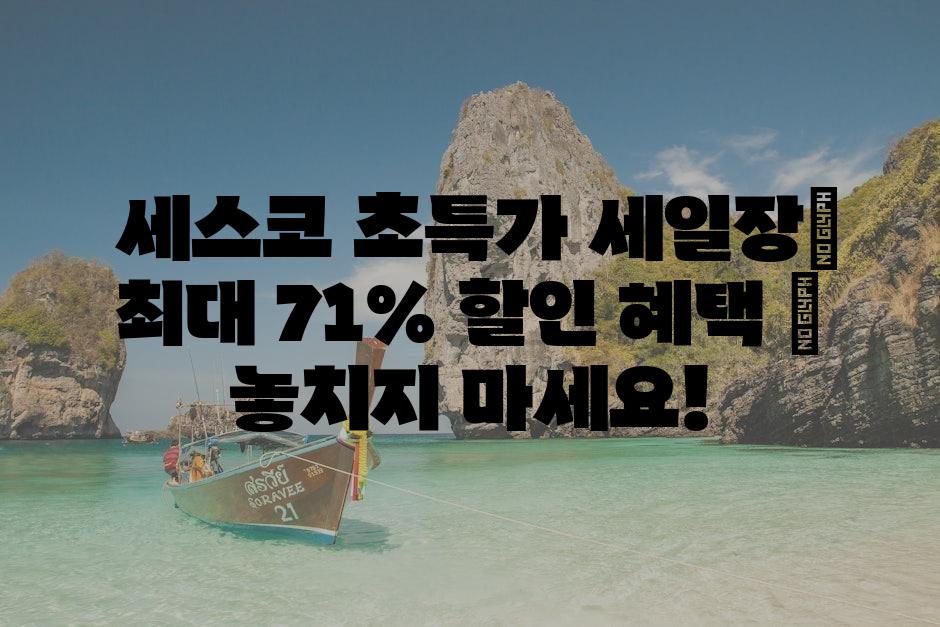 샘플 (80)