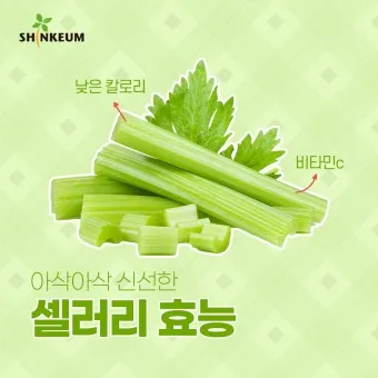 셀러리 먹는법 주스 효능_13