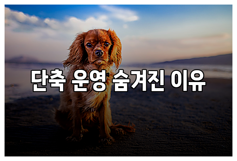 단축 운영 숨겨진 이유
