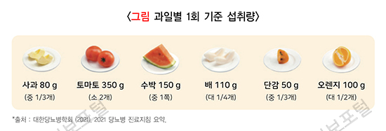 과일별 1회 기준 섭취량