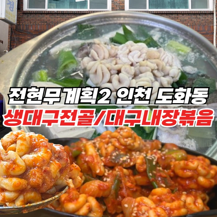 전현무계획2 인천 생대구탕 대구내장볶음 - 미추홀구 도화동 43년 전통 맑은 생대구전골 맛집