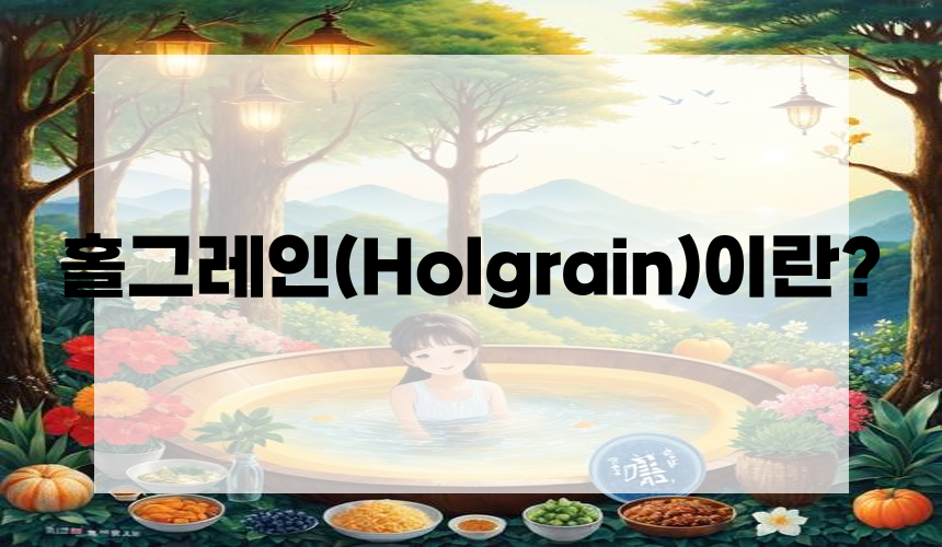 홀그레인(Holgrain)이란?
