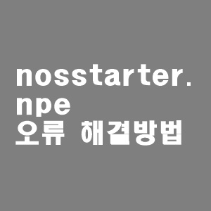  nosstarter.npe 응용 프로그램 오류 해결방법