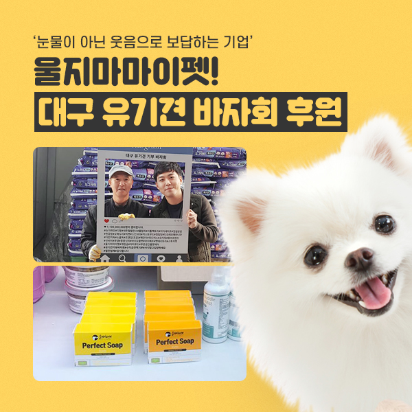  울지마마이펫, 대구 유기견 바자회 동참…따뜻한 손길 보태