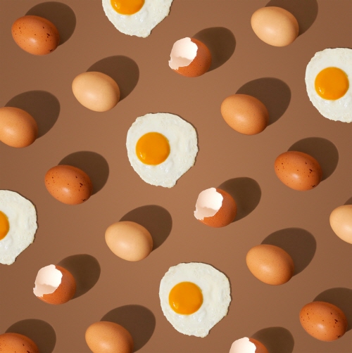 계란-면역관리식품