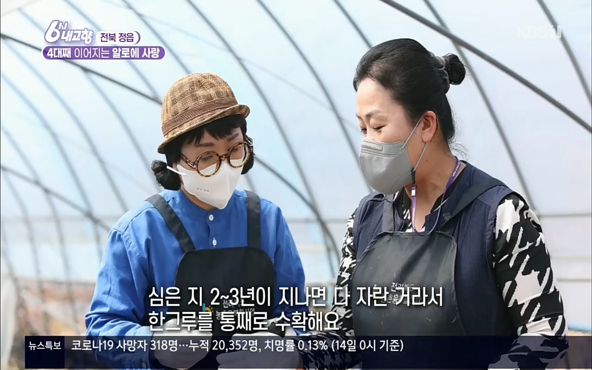6시 내고향.E7511.220415p.H264-F1RST.mp4_20220425_165837.572.jpg