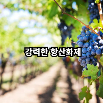 강력한 상산화제