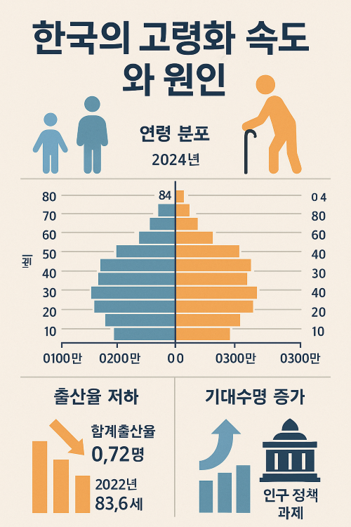 한국의 고령화 속도와 출산율 저하, 인구 정책 과제