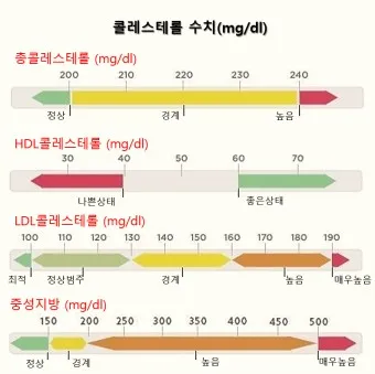 총콜레스테롤 이란 정상수치 낮추는법_23