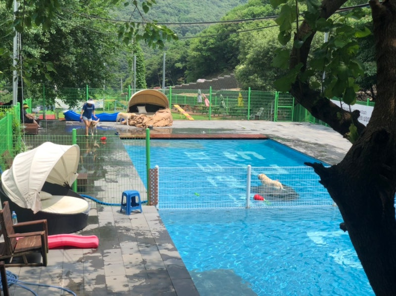 파크랜드상주 이미지