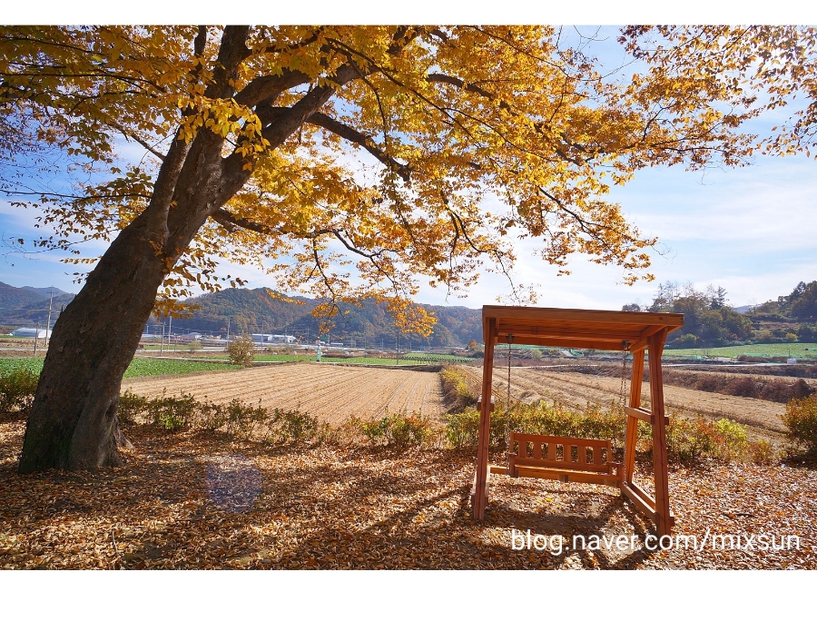 단풍구경 가볼만한 곳 괴산 가볼만한곳 2