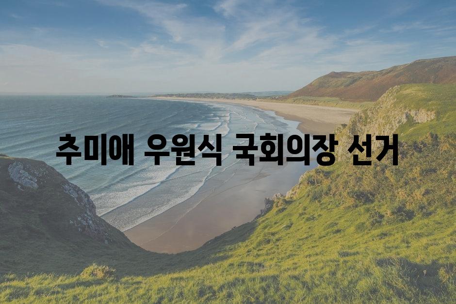 샘플 (86)