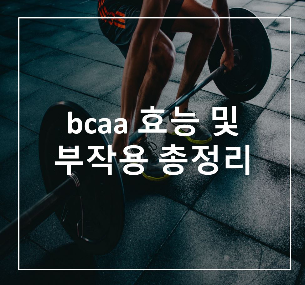  bcaa 효능 및 부작용 총정리 [bcaa 몬스터, 마이프로틴 bcaa]
