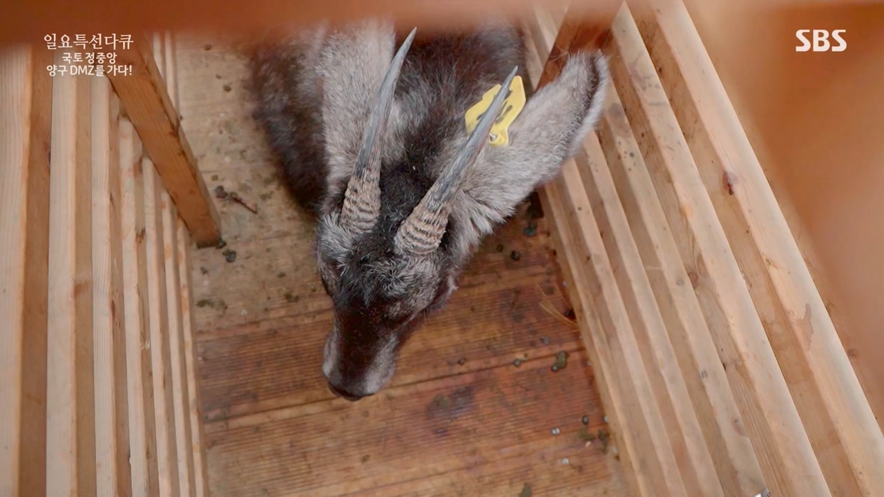 일요특선 다큐멘터리.E344.231204p-NEXT.mp4_20231206_194847.666.jpg