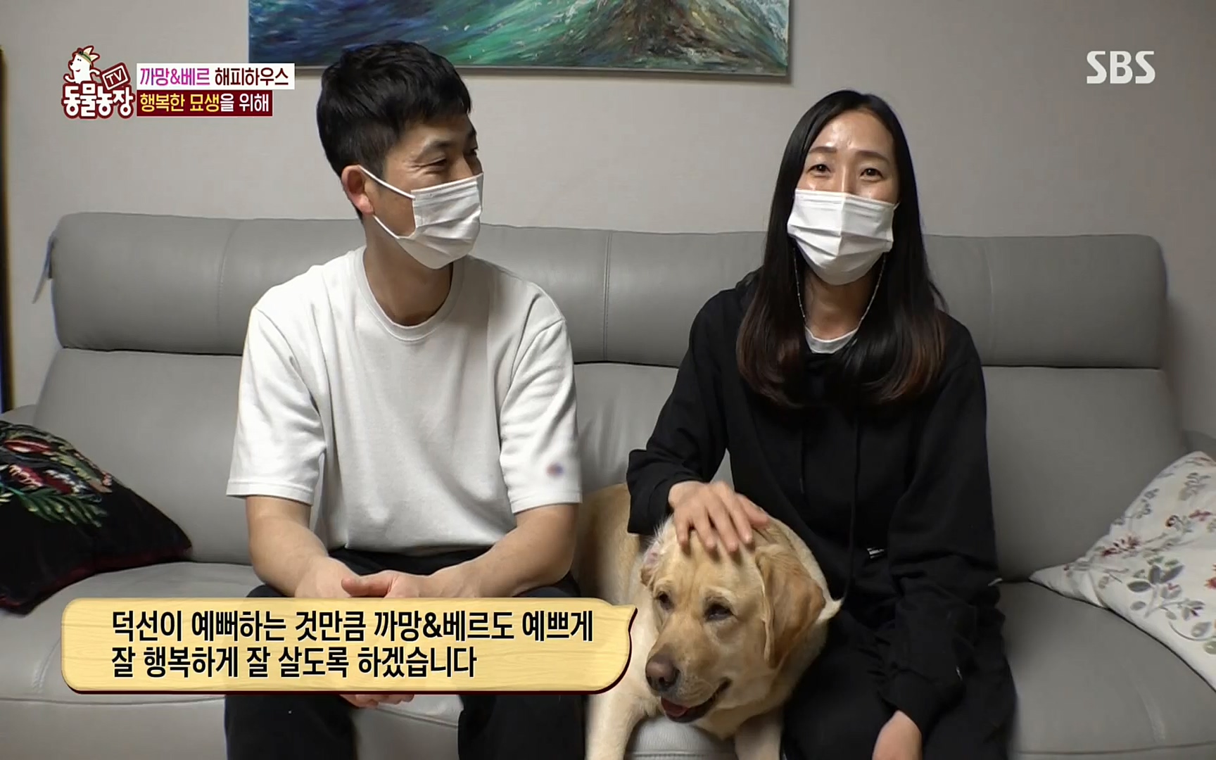 TV 동물농장.E1073.220612p.H264-F1RST.mp4_20220612_181356.152.jpg