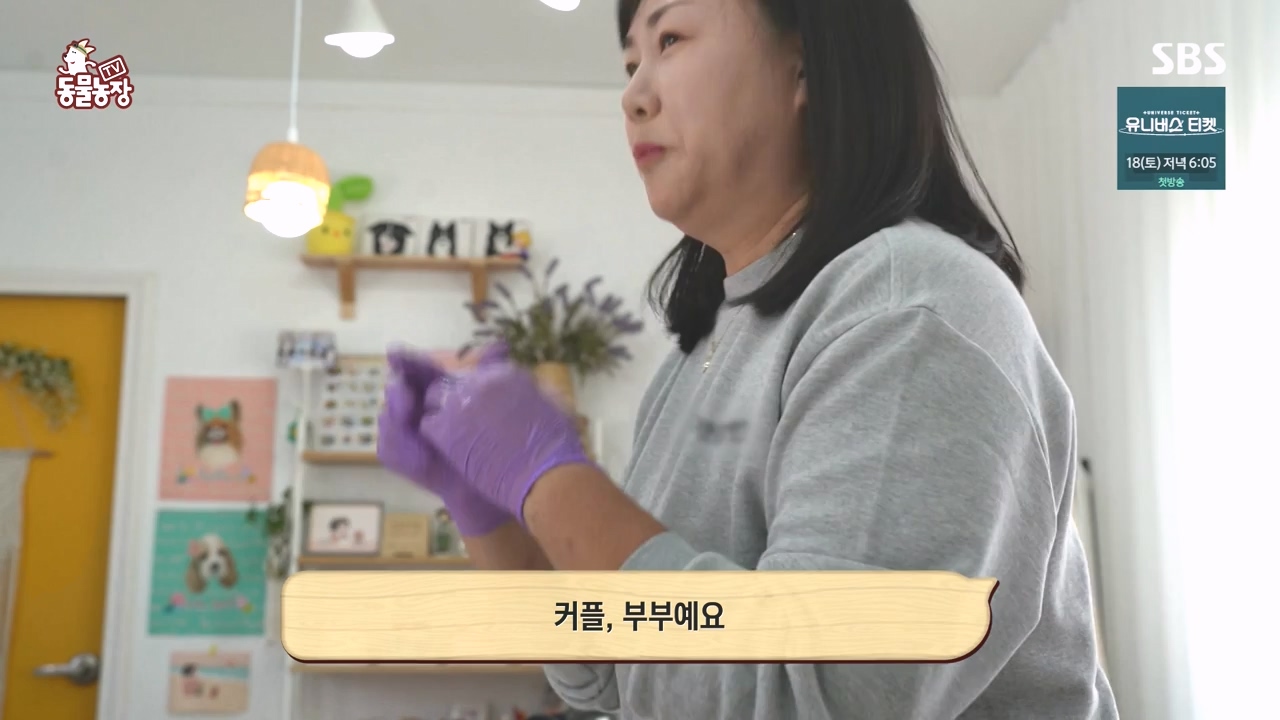 TV 동물농장.E1145.231113p-NEXT.mp4_20231112_173432.848.jpg