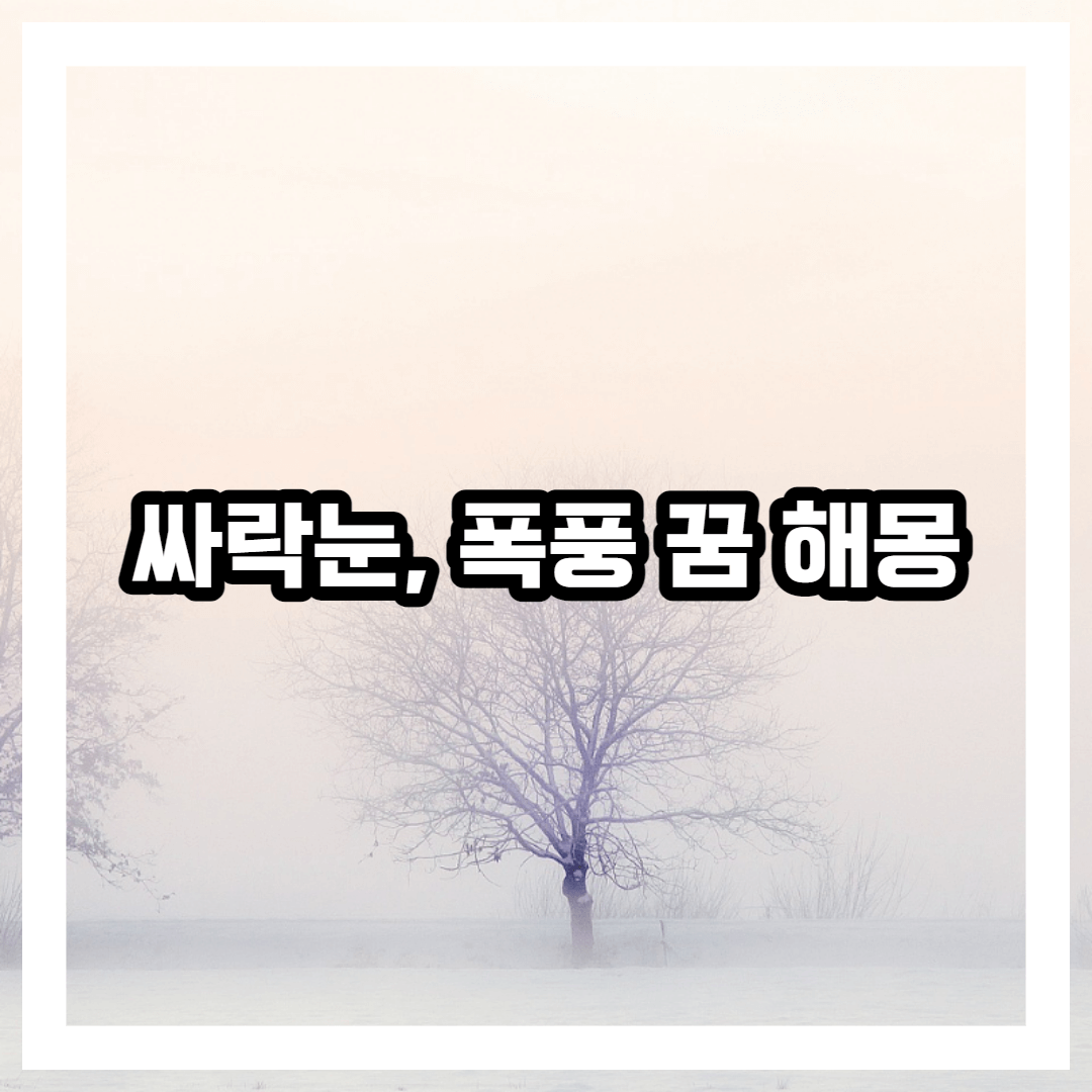 싸라기눈&#44; 폭풍 꿈 해몽