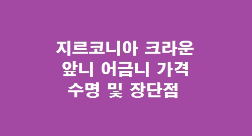 지르코니아 크라운 가격