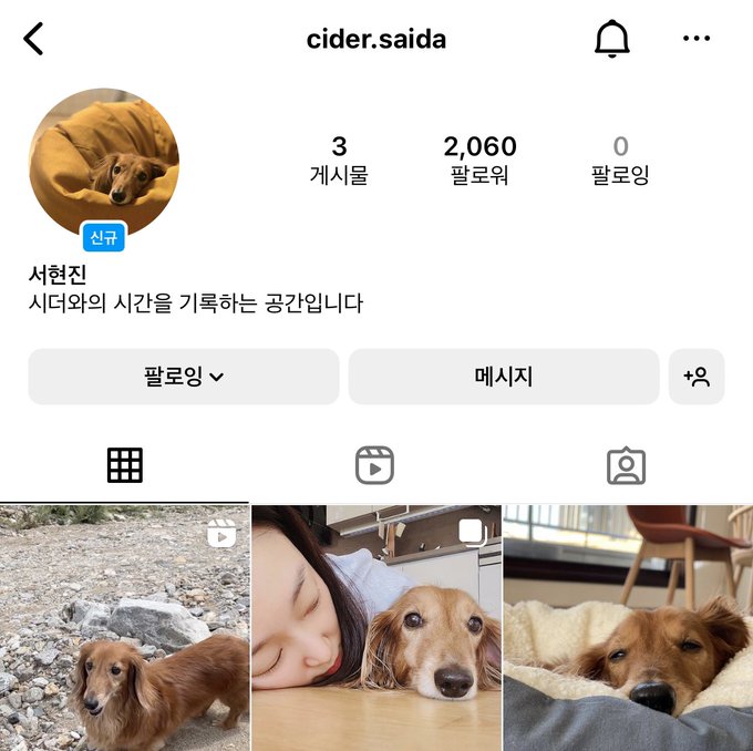  서현진 인스타 개설