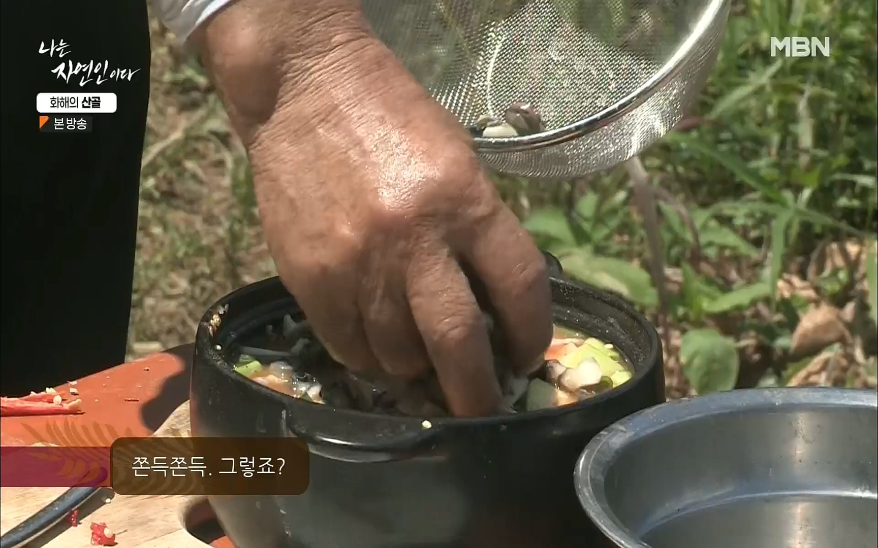 나는 자연인이다.E515.220817p.H264-F1RST.mp4_20220818_201929.592.jpg