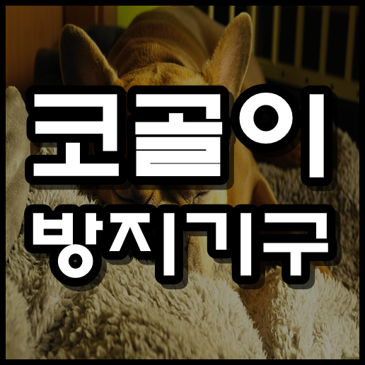  코골이 방지기구 , 코골이 줄이는 방법