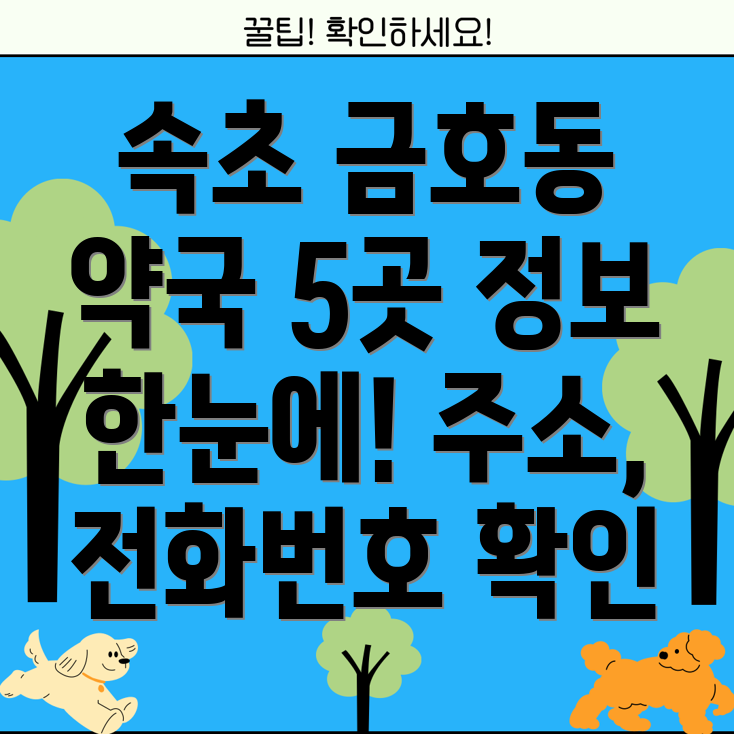 속초시 금호동 약국 5곳 정보 주소, 위치, 운영시간, 전화번호