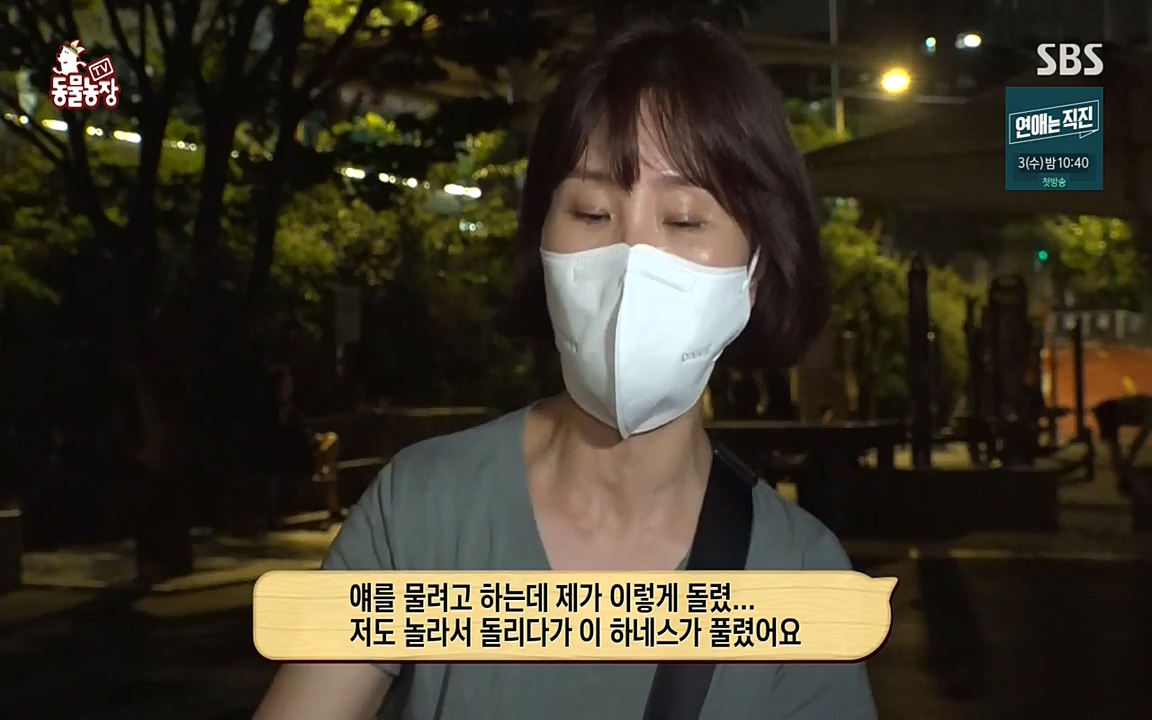 TV 동물농장.E1080.220732p-NEXT.mp4_20220731_174211.619.jpg