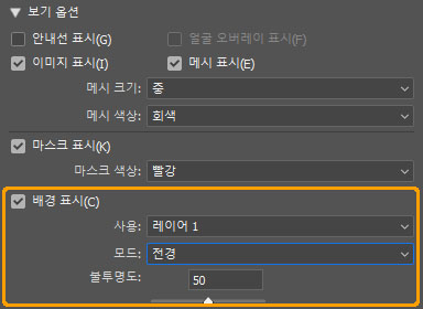 배경 표시 옵션