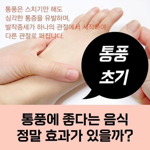 통풍과 음식