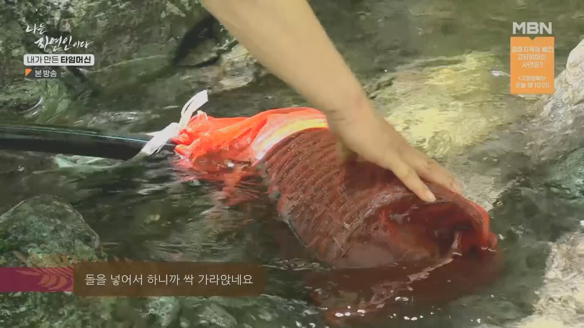 나는 자연인이다.E555.230524p.H264-F1RST.mp4_20230526_212808.363.jpg