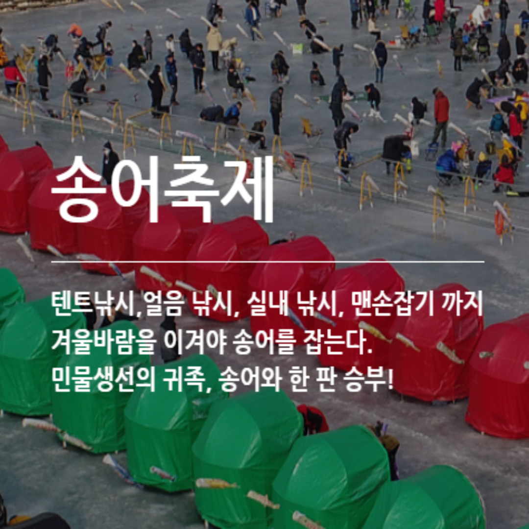 평창송어축제