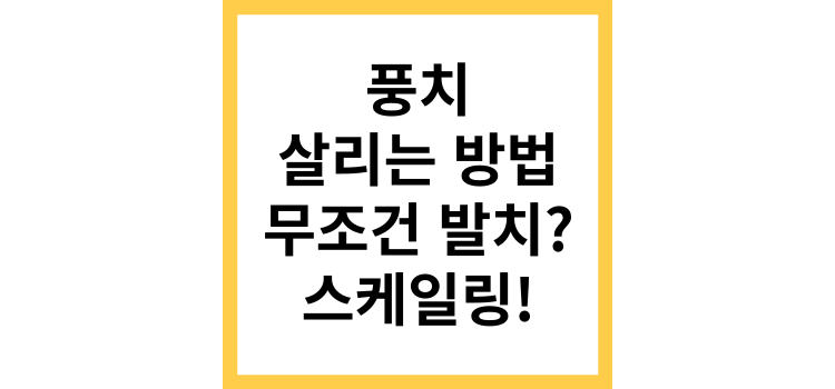 섬네일