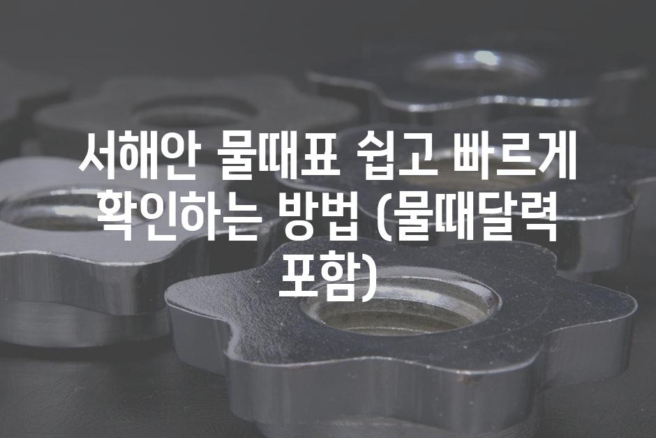 샘플 (52)