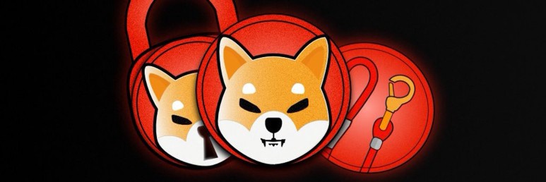  시바코인 십코인 도지코인 왕위 계승중?(SHIB 코인)