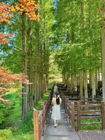 청남대 홈페이지 예약접수 입장료 주차비 총정리_9