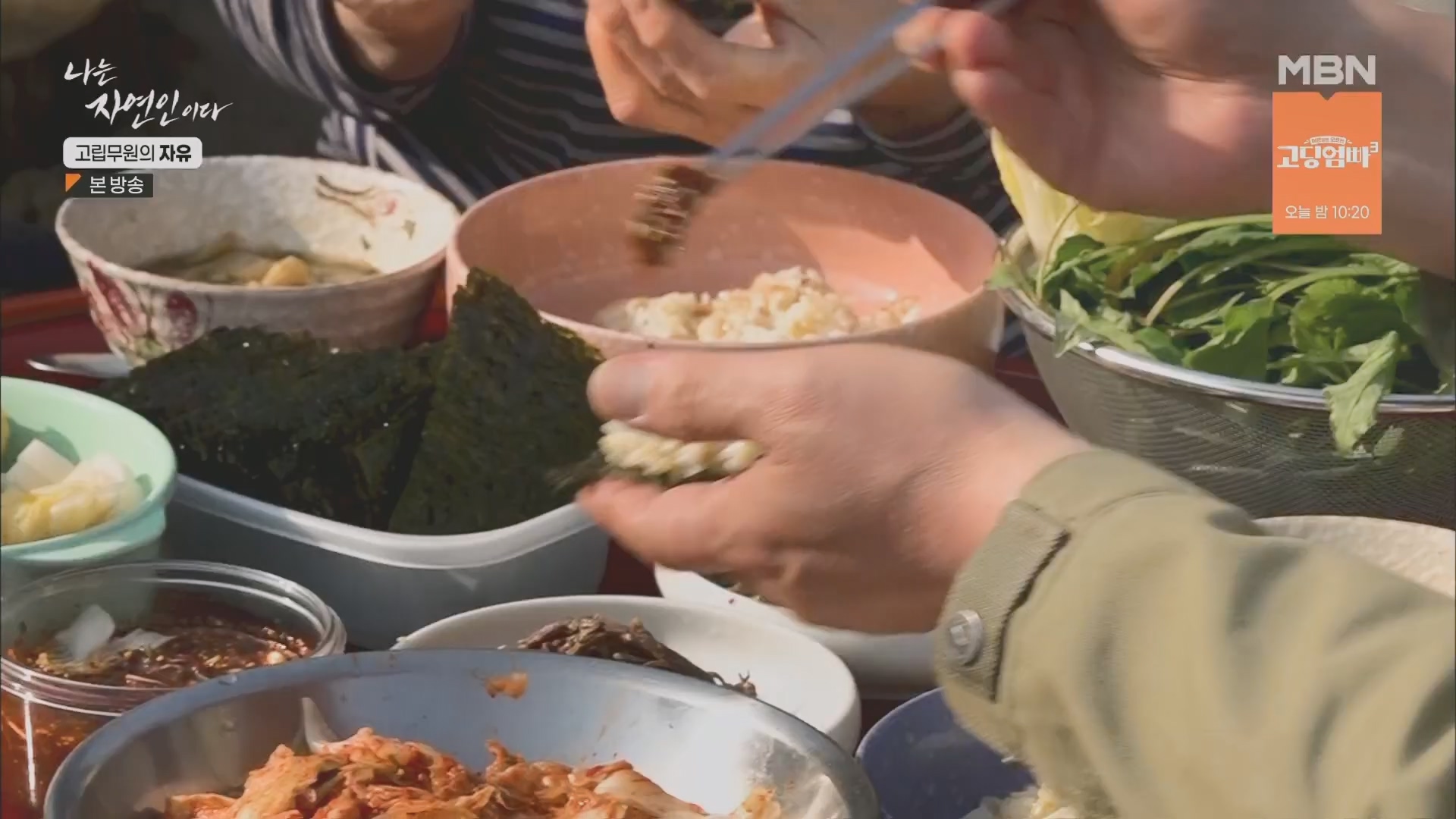 나는 자연인이다.E549.230412p.H264-F1RST.mp4_20230413_213156.459.jpg