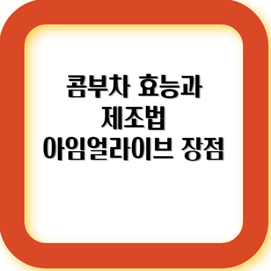 콤부차 효늘과 제조법을 설명한다