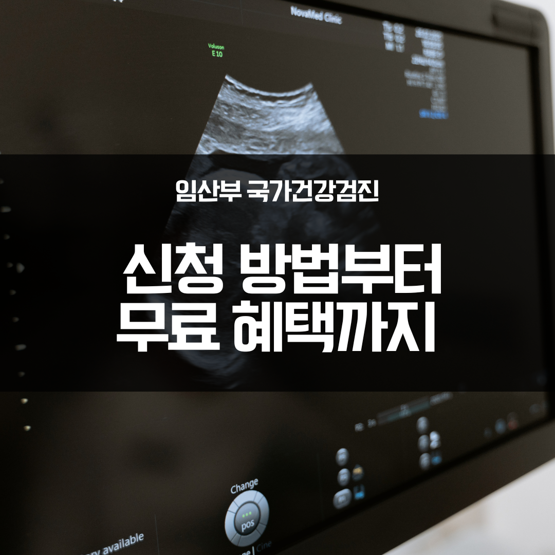 임산부 국가건강검진 신청 방법, 무료 혜택