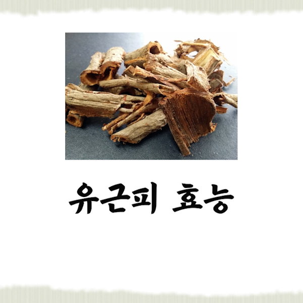  유근피 효능 부작용 꼭 보고가셔야해요