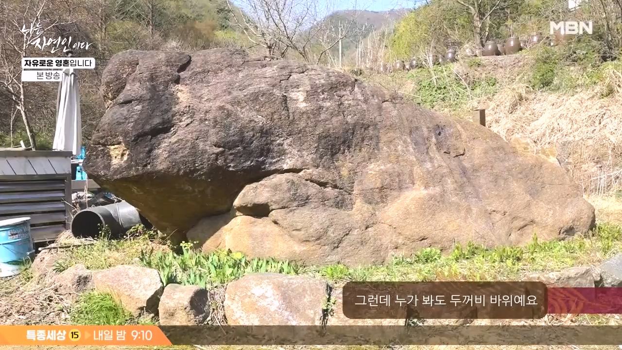 나는 자연인이다.E604.240509p-NEXT.mp4_20240509_195708.760.jpg