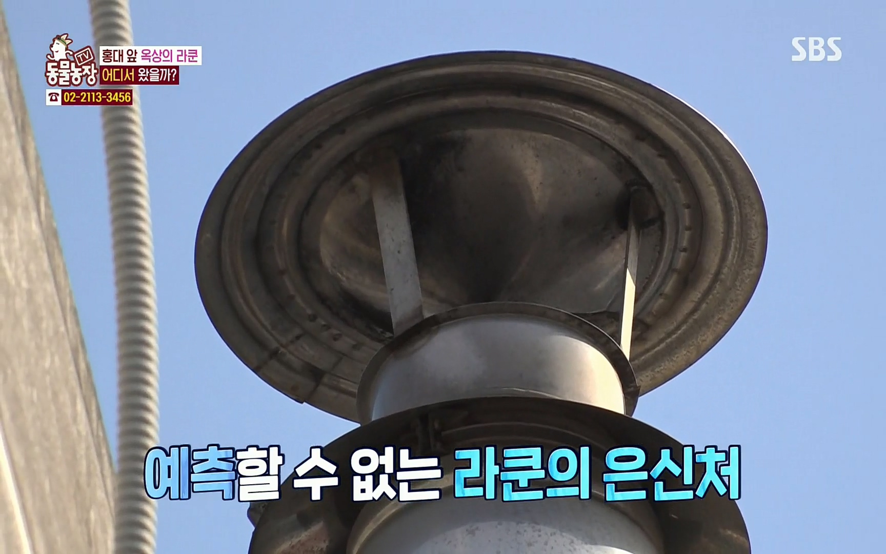 TV 동물농장.E1066.220424p.H264-F1RST.mp4_20220424_200021.674.jpg