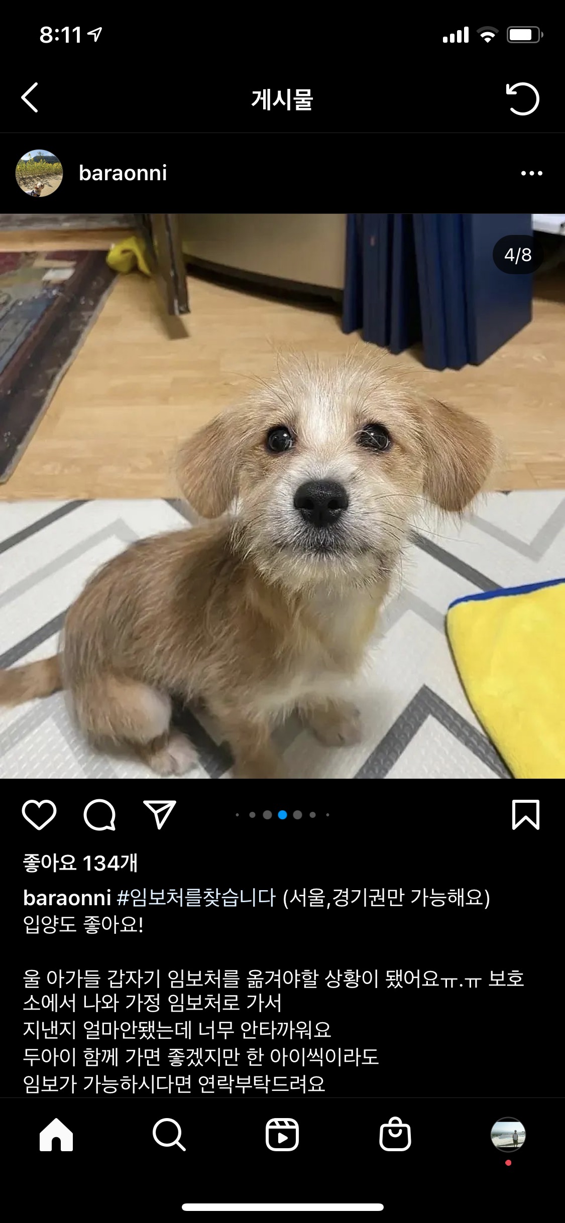바라오니 인스타그램 길 잃은 개 보호소