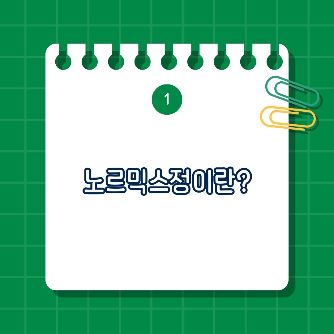 2_노르믹스정이란 무엇인가