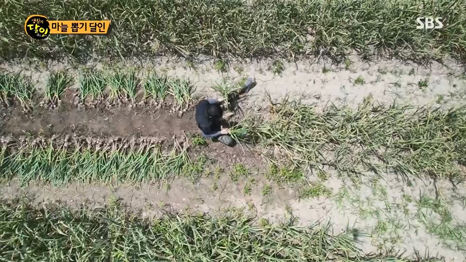 생활의 달인.E893.230619p.H264-F1RST.mp4_20230620_203625.190.jpg