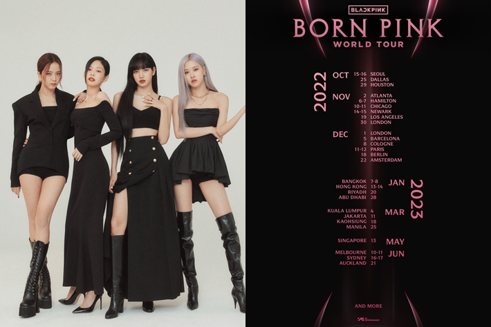 BLACKPINK 멤버들의 매력적인 무대 퍼포먼스
