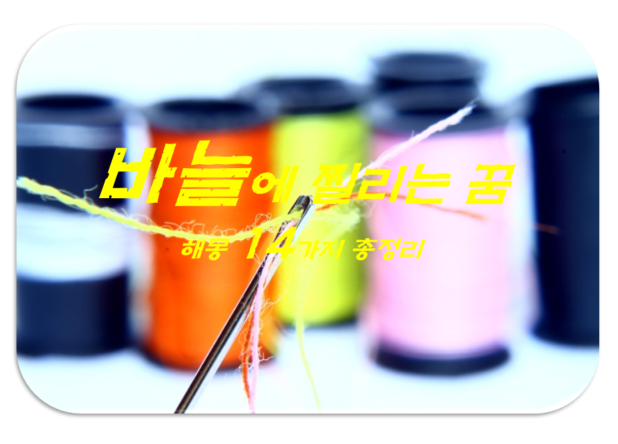  바늘꿈 해몽 14가지 총정리